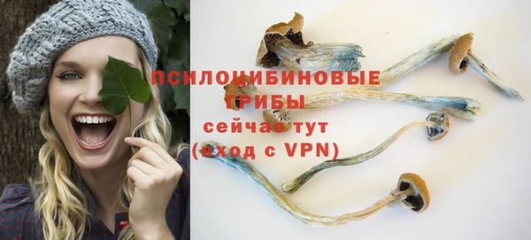 гашик Усмань