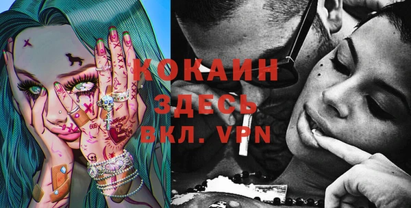 дживик Усинск